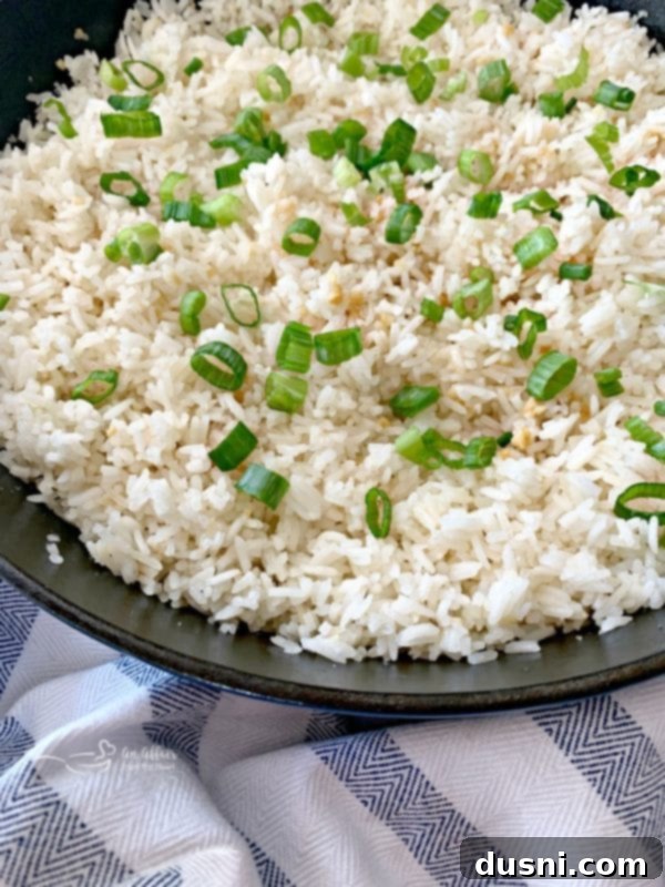 Effortless Garlic Fried Rice 7 Basic Garlic Fried Rice closeup