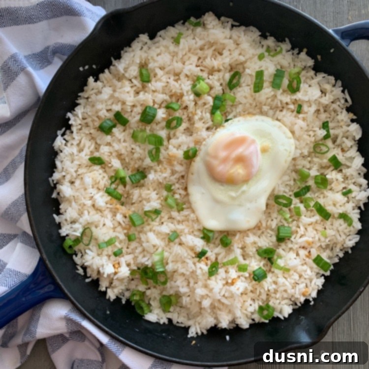 Effortless Garlic Fried Rice 8 Basic Garlic Fried Rice with egg