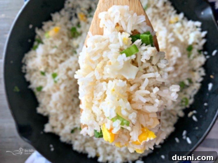 Effortless Garlic Fried Rice 9 Homemade Basic Garlic Fried Rice