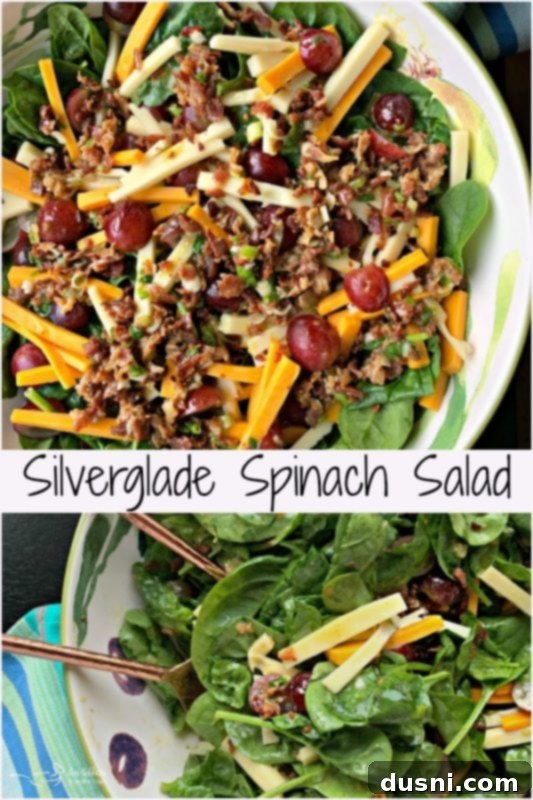 Silverglade Spinach Salad - An Affair from the Heart