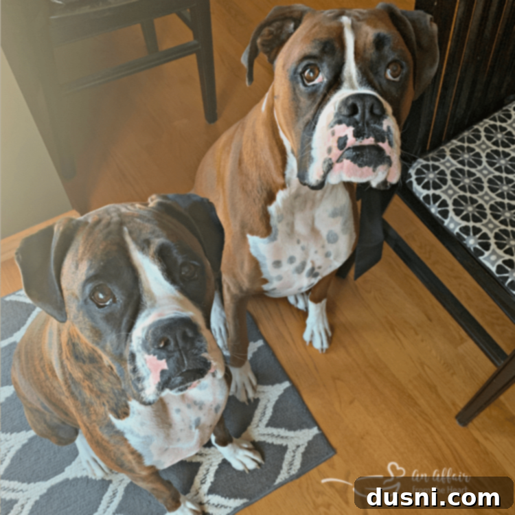 Corn Dog Muffin Bites 6 img 15591 5