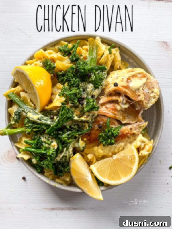 A beautifully plated serving of Chicken Divan