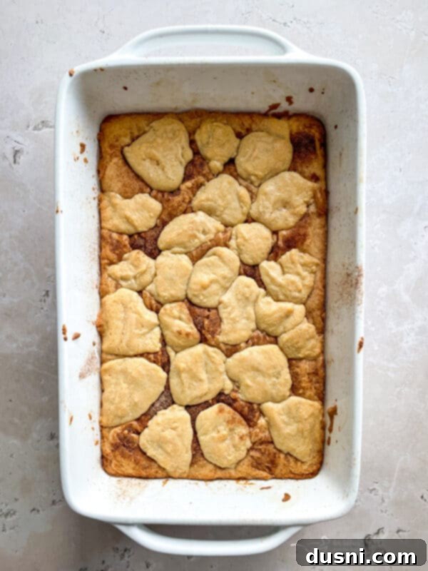 Glazed Snickerdoodle Bars 11 Dolloping remaining snickerdoodle cookie dough over the cinnamon sugar layer.