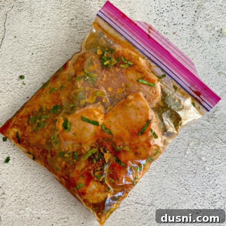 Tropical Chicken Nachos marinade