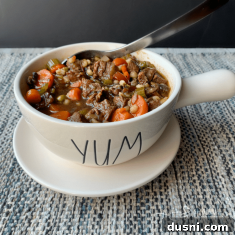 Hearty Instant Pot Beef and Vegetable Soup 2 Instant Pot Vegetable Beef Soup