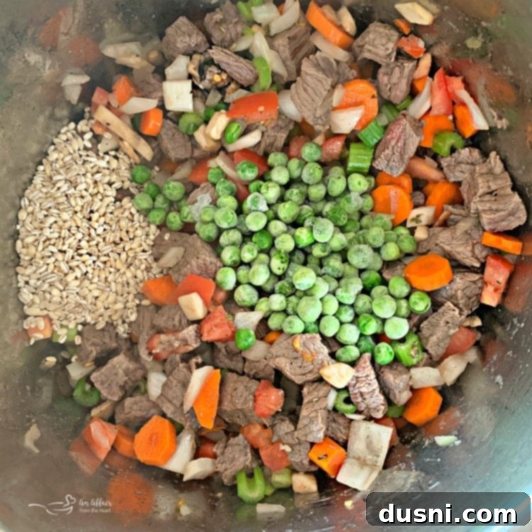 Hearty Instant Pot Beef and Vegetable Soup 10 Instant Pot Vegetable Beef Soup