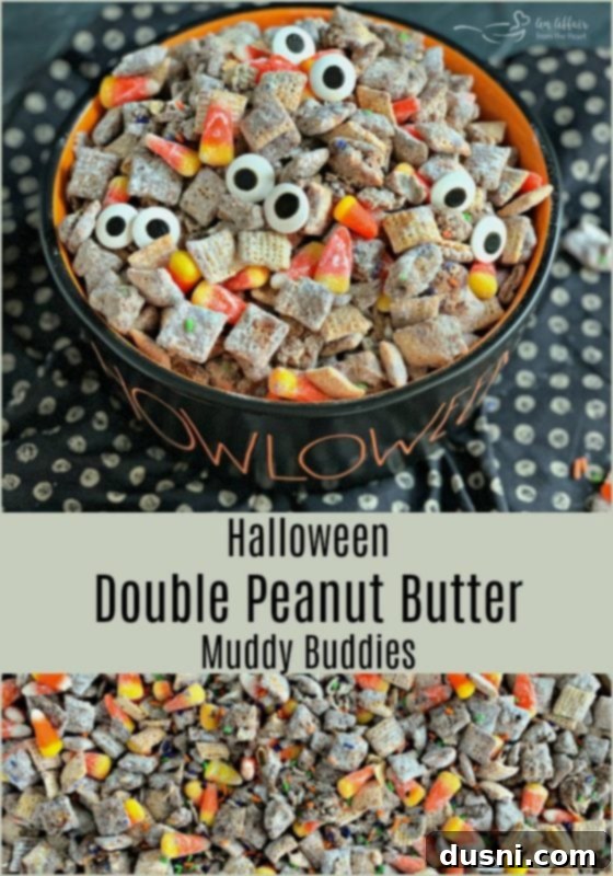 Halloween Double Peanut Butter Muddy Buddies - An Affair from the Heart