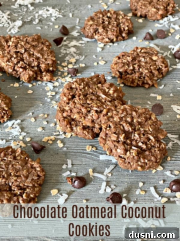 Hero shot of irresistible Chocolate Oatmeal Coconut Cookies ready to be served