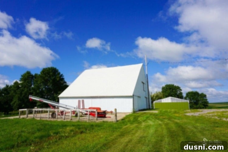Farm fields in Earling, Iowa