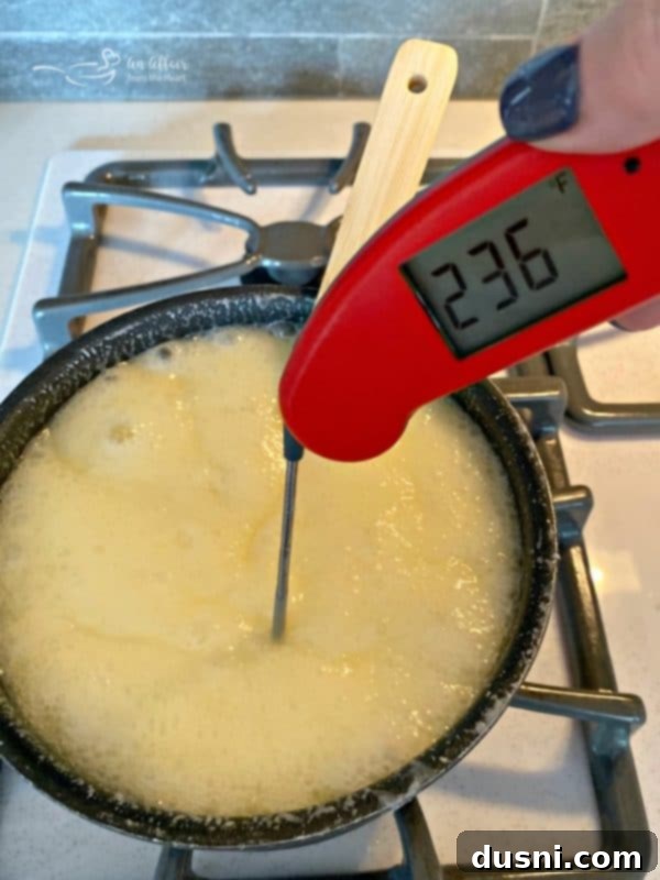 A Thermapen Mk4 thermometer accurately measuring the temperature of the fudge mixture at the soft ball stage.