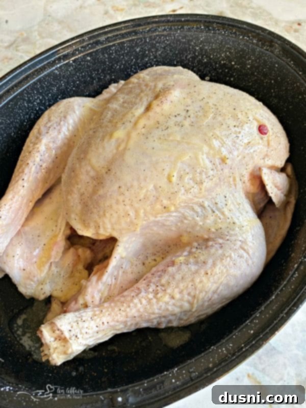 Perfect Turkey and Gravy: A Chef's Secrets 4 Turkey breast being basted with melted butter and seasoned with salt and pepper