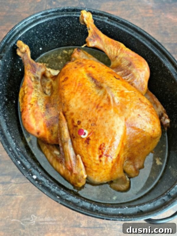 Perfect Turkey and Gravy: A Chef's Secrets 6 Roasted turkey in a large roasting pan in the oven