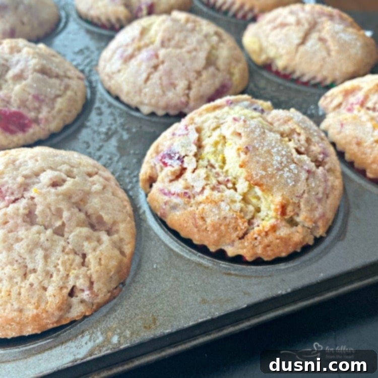 Cranberry Orange Muffins