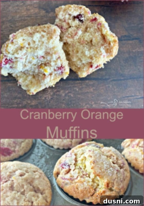 Cranberry Orange Muffins