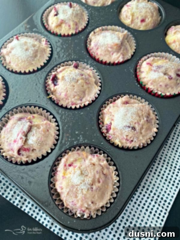 Cranberry Orange Muffins