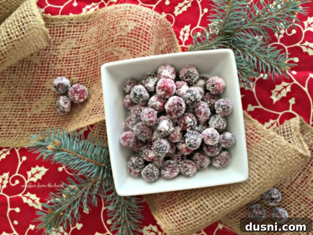 A vibrant bowl of sugared cranberries, sparkling and festive, ready to be used as a garnish or a delightful snack.