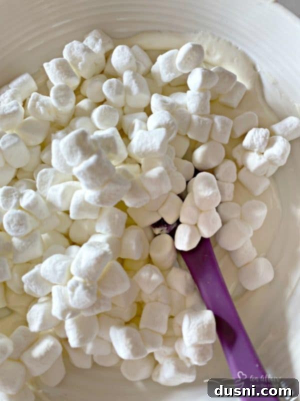 Aztec Hot Cocoa Medley 7 Coating marshmallows in white chocolate for Chex Mix