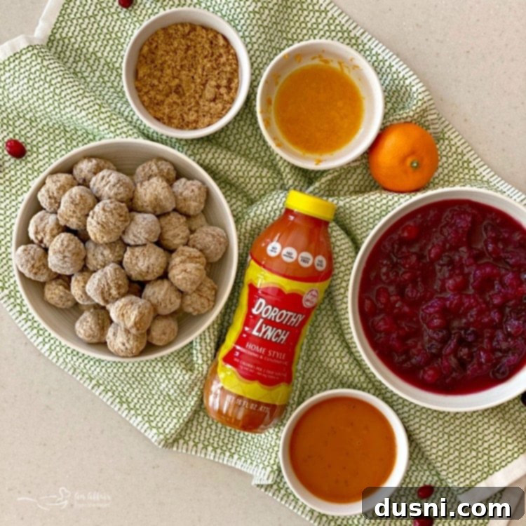 Dorothy Cranberry Meatballs 5 Ingredients for Dorothy's Cranberry Meatballs laid out on a white surface, showing cranberry sauce, Dorothy Lynch, clementines, brown sugar, and frozen meatballs for easy identification.