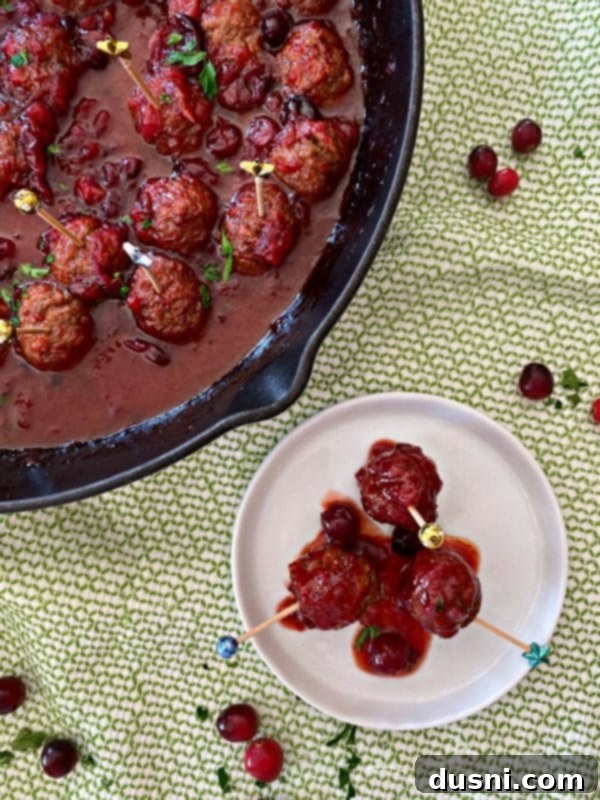 Dorothy Cranberry Meatballs 8 Overhead view of Dorothy's Cranberry Meatballs in a serving bowl, garnished with fresh parsley, highlighting their delicious texture.