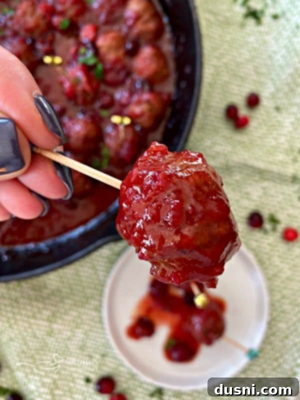 Dorothy Cranberry Meatballs 4 A single Dorothy's Cranberry Meatball skewered on a festive toothpick, with a blurred background of more meatballs, highlighting its appetizer appeal.