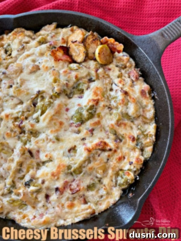 Cheesy Brussels Sprouts Dip HERO