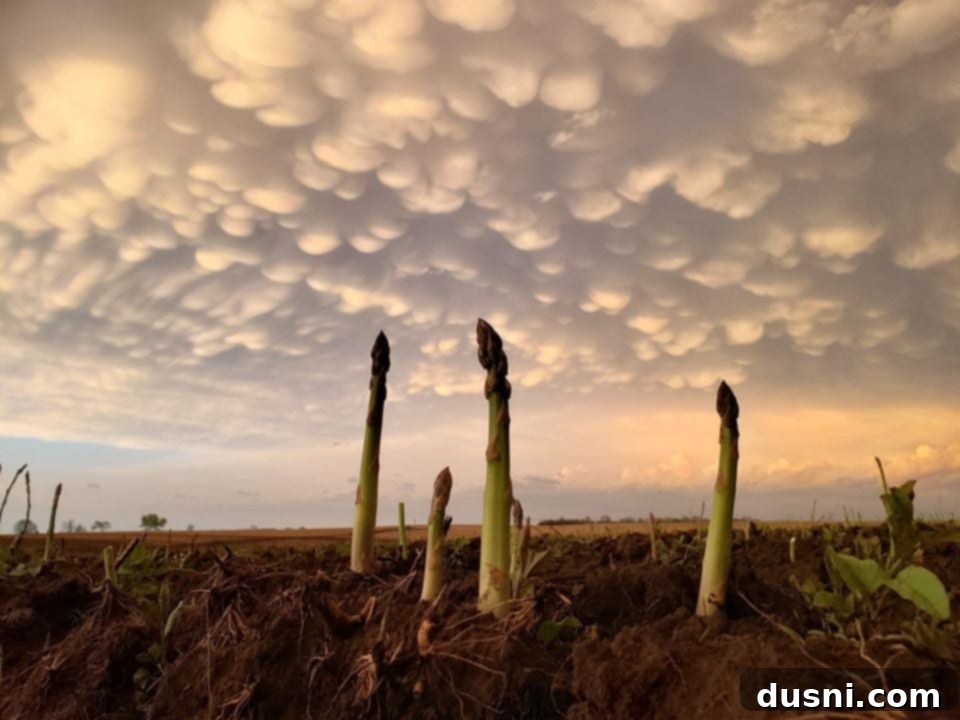 Ely Farms Nebraska family photo