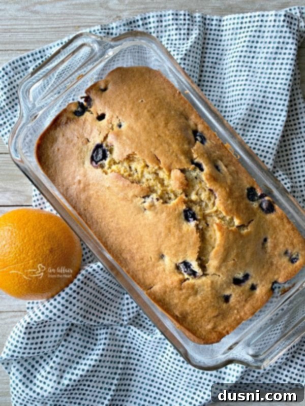 A freshly baked loaf of Blueberry Orange Bread, golden brown, cooling on a wire rack.