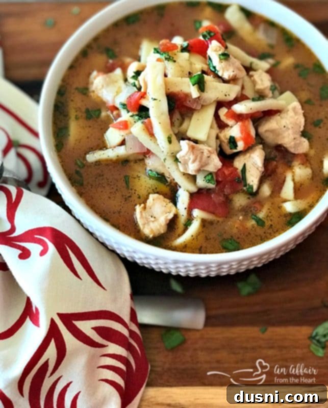 Italian Chicken Noodle Soup with fresh homemade noodles