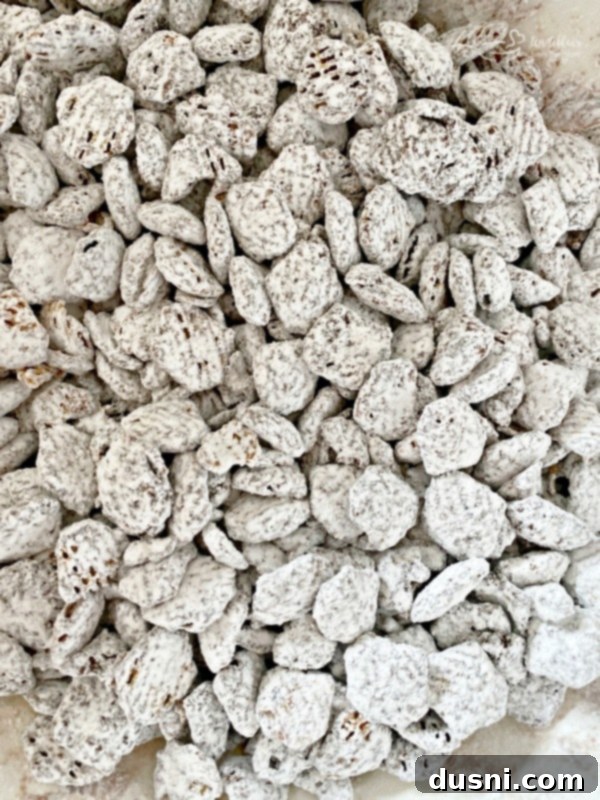 Powdered sugar and trail mix added to chocolate-coated cereal