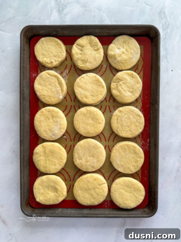 Cut Paczki dough rounds on parchment paper