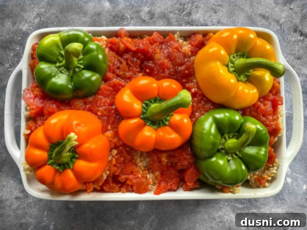 A baking dish filled with seasoned, stuffed peppers, ready to be covered and baked.