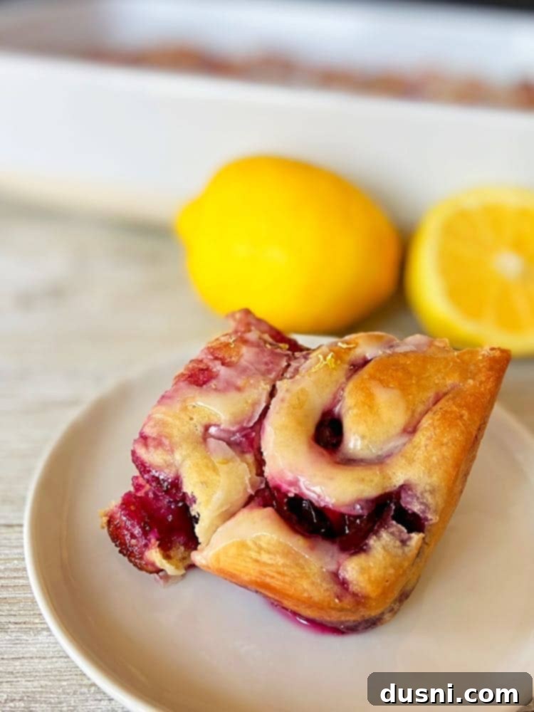 Sunshine Lemon Blueberry Rolls 5 Sliced Lemon Blueberry Sweet Rolls ready for baking