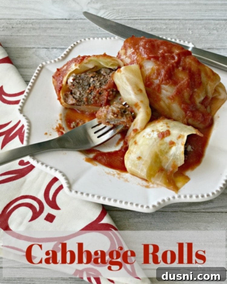Stuffed Cabbage Rolls - An Affair from the Heart