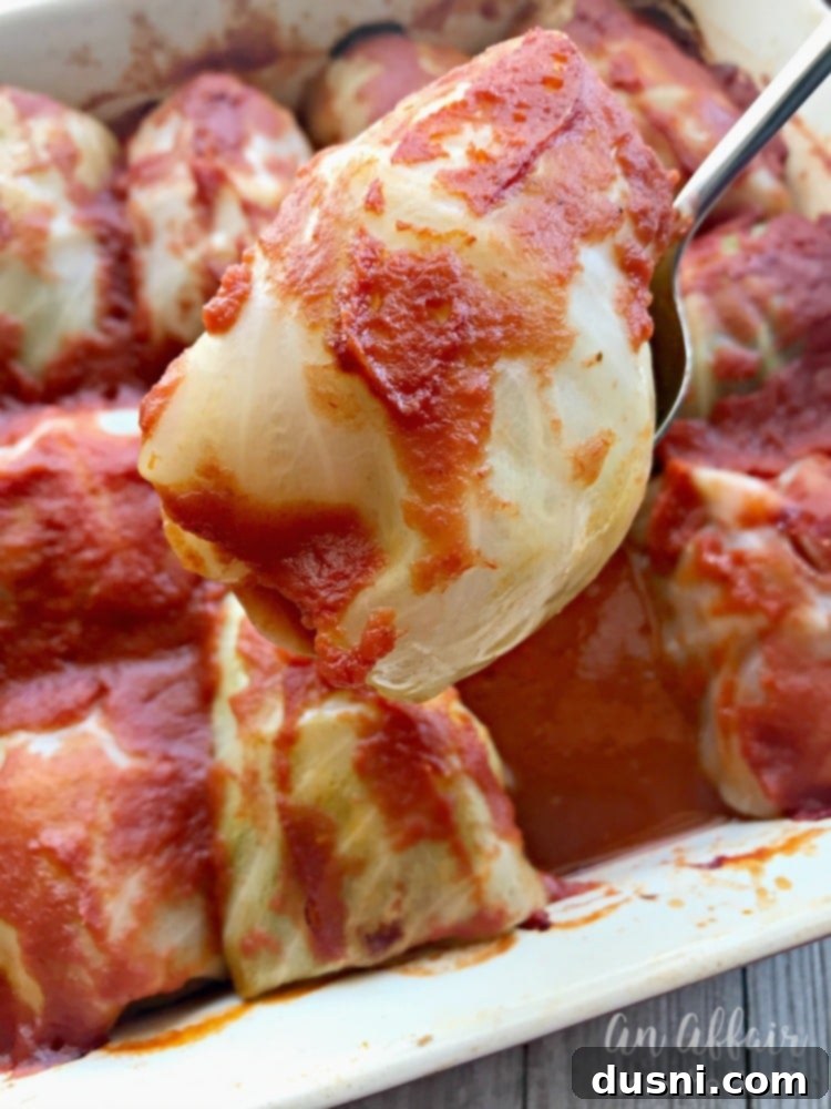 Stuffed Cabbage Rolls - An Affair from the Heart