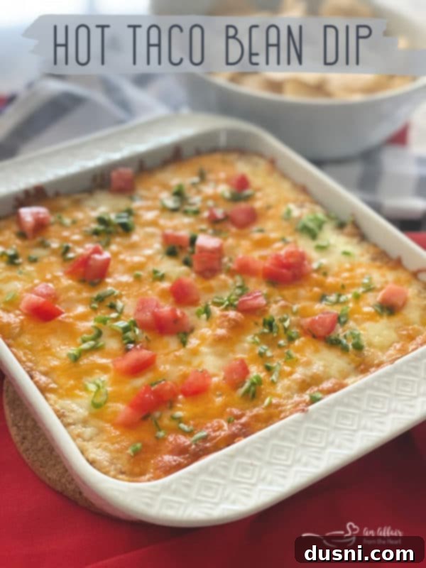 Hot Taco Five Bean Dip ready to be served