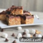 Pantry Perfection Bars 12 Whatchamacallit Bars with marshmallows