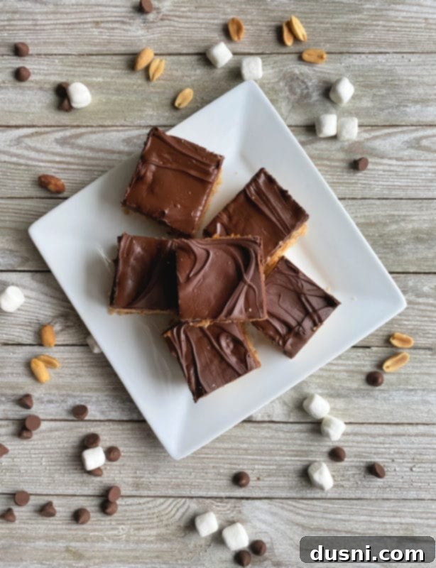 Pantry Perfection Bars 3 Close-up of Homemade Whatchamacallit Bars showing the layers