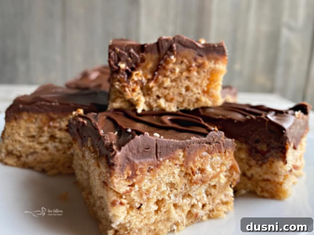 Pantry Perfection Bars 8 Assortment of chocolate chips in different varieties