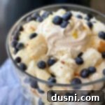 close up Lemon Blueberry Trifle