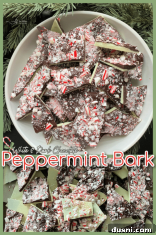 Close-up of a large piece of white and dark chocolate peppermint bark, ready to be enjoyed as a holiday treat
