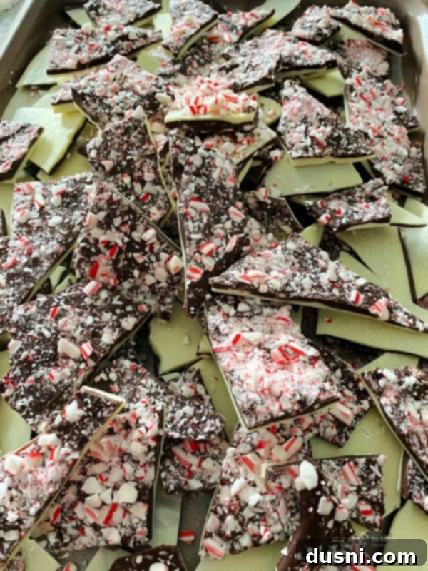 Broken pieces of white and dark chocolate peppermint bark displayed in a small white bowl, ready for serving