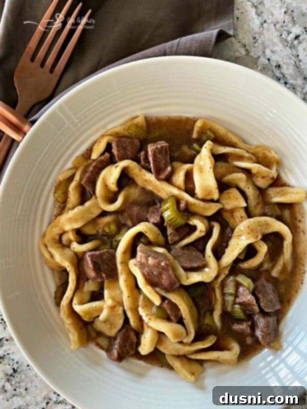 A steaming bowl of old-fashioned beef and noodles, with tender beef chunks and thick egg noodles in a rich gravy, ready to be enjoyed.