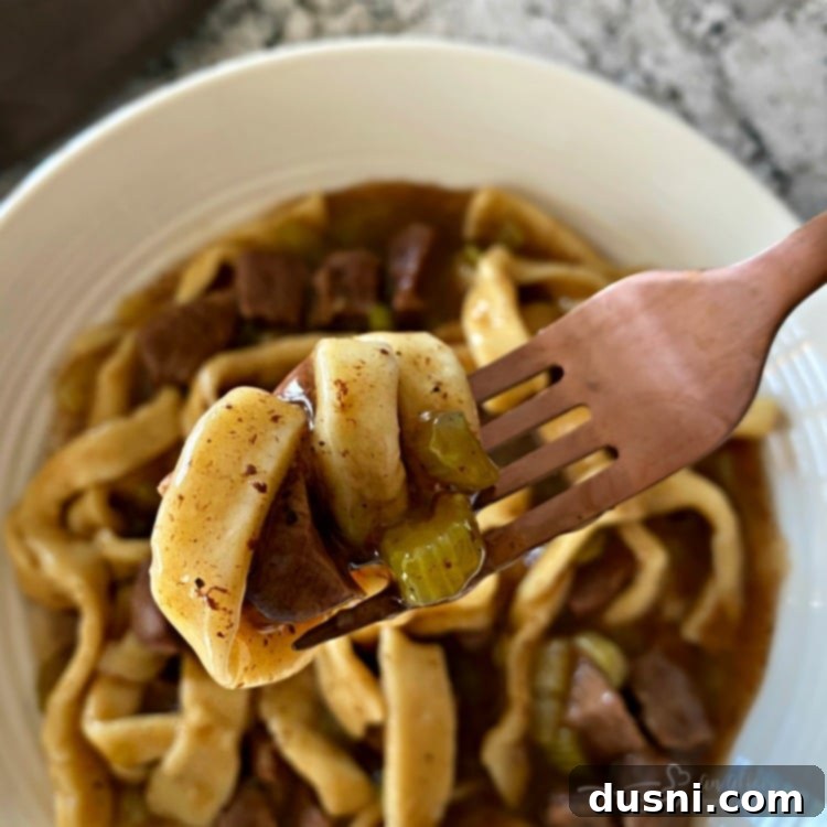 A fork lifts a generous bite of tender beef and thick egg noodles from a bowl, thoroughly coated in a rich, savory gravy.