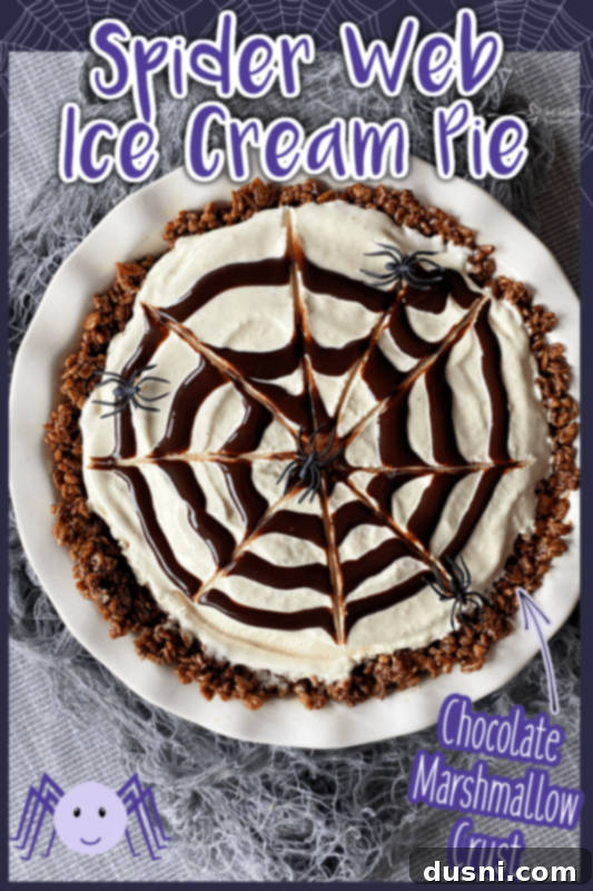 Slice of Spider Web Ice Cream Pie showing the layers and spider web design