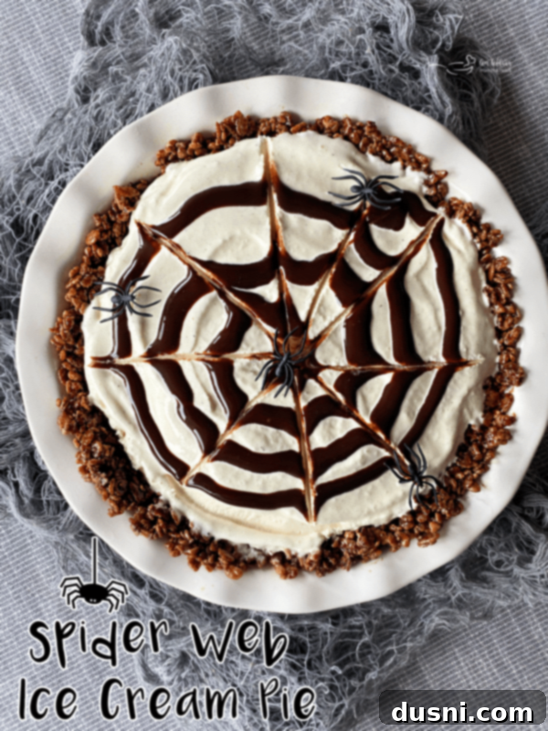 Full Spider Web Ice Cream Pie on a white background with a Halloween aesthetic