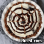 Overhead of a Spider Web Ice Cream Pie on a white pie plate, showcasing the chocolate web