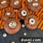 Sweet Gaze Chocolate Sugar Cookies 14 Halloween Chocolate Sugar cookies on orange and black towel with eyes