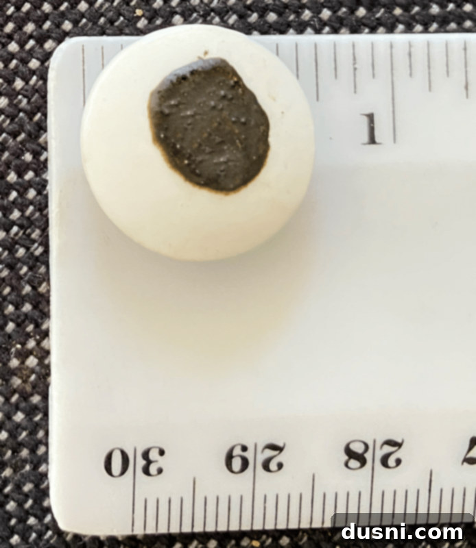 Sweet Gaze Chocolate Sugar Cookies 9 Two sizes of candy eyeballs for decorating Halloween cookies.