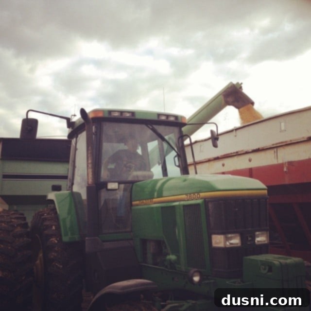 Spicy Slow Cooker Buffalo Pulled Pork with Cooling Celery Slaw 17 Historical photo of a farm
