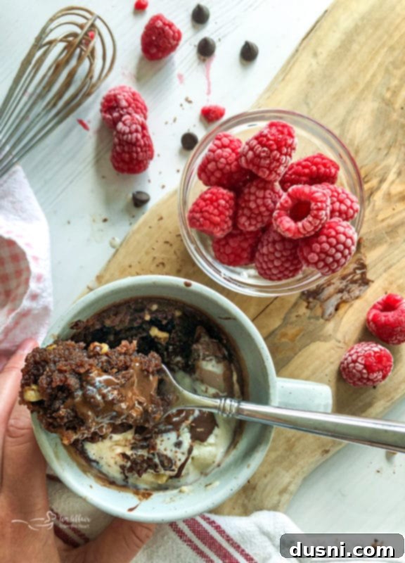 Easy Mug Brownie 2 Close-up of a warm, gooey chocolate mug brownie topped with ice cream and a spoon